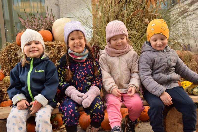 Promyki i dyniowy ogród